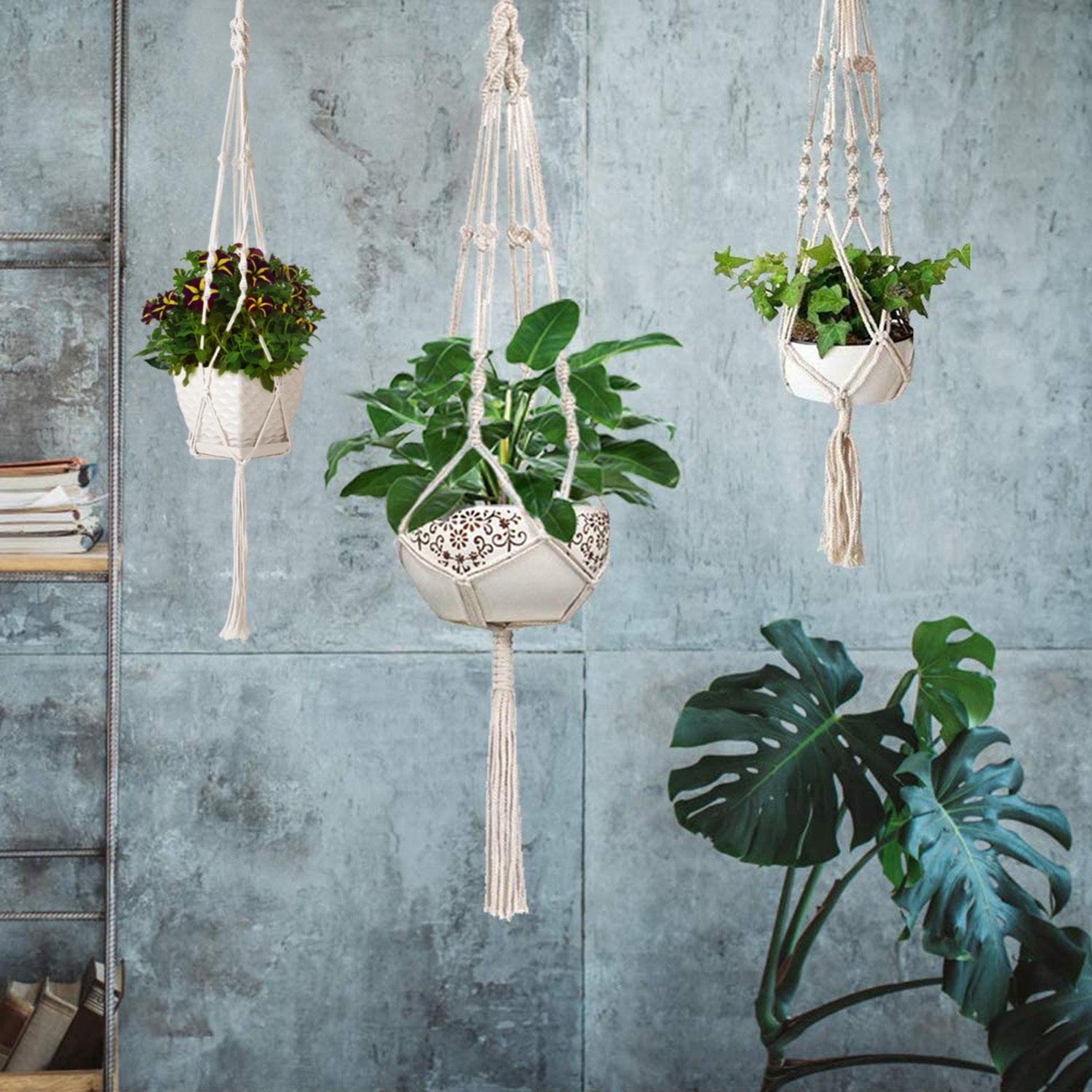 2PCS Cotton Rope Plant Hangers – Boho Chic Home Décor