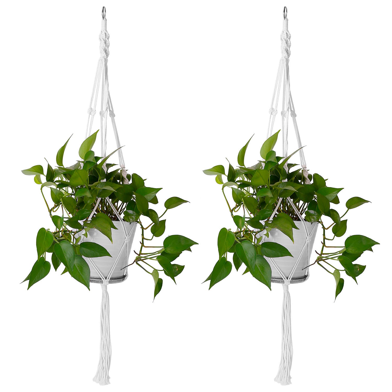 2PCS Cotton Rope Plant Hangers – Boho Chic Home Décor